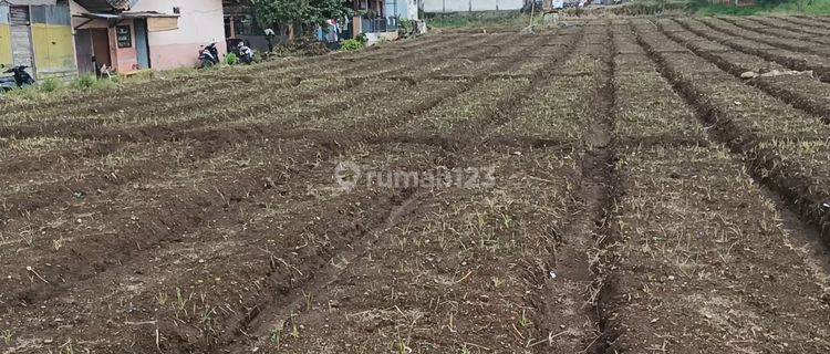 Di Sewakan Tanah Di Pangalengan Harga Sangat Murah 1