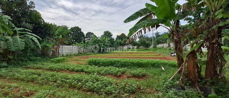 Disewakan Tanah Pinggir Jalan Raya Gunung Sindur Lokasi Strategis 1