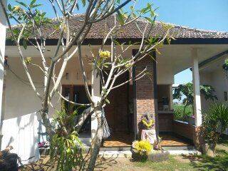 Home stay Bagus is still operating in the Jembrana view Sawah area 1