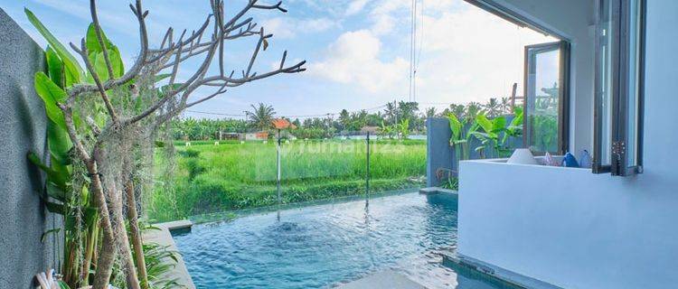 Villa Murah Bagus di Area Ubud Gianyar View Sawah Yang Sejuk 1