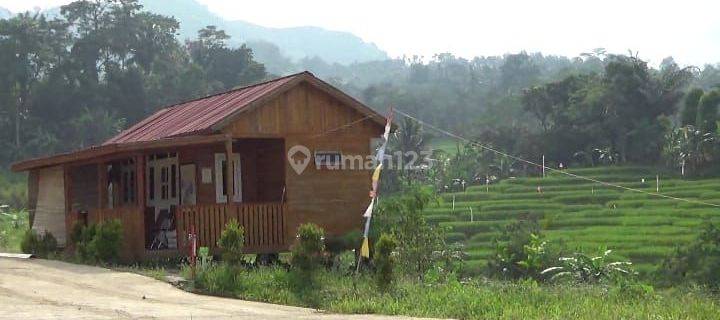 Tanah kavling puncak dua siap bangun permanen, sejuk pegunungan 1