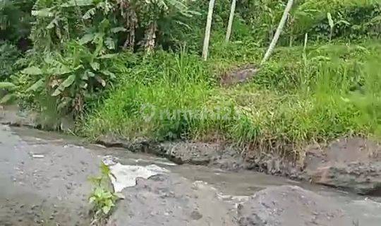 Hot List Di Jual Tanah Loss Sungai View Sungai Lokasi Sayan Ubud Gianyar 1