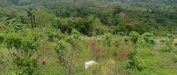 Cheapest Hot List in its Class for Sale of Land at the Pelaga Petang Badung Location 1