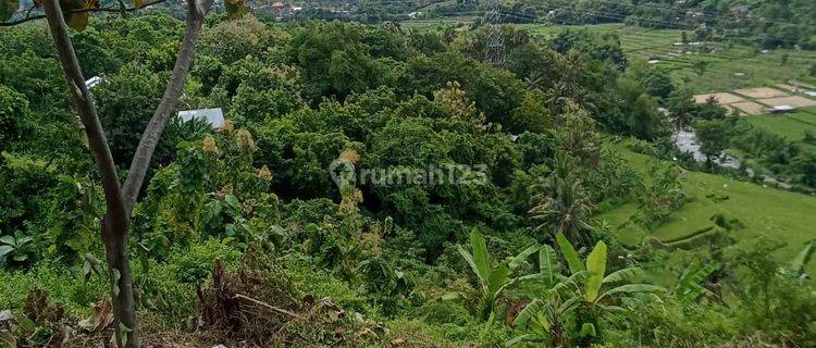 Hot List Termurah Di Kelasnya Di Jual Tanah View Laut Sawah Lokasi Lokapaksa Seririt Buleleng 1