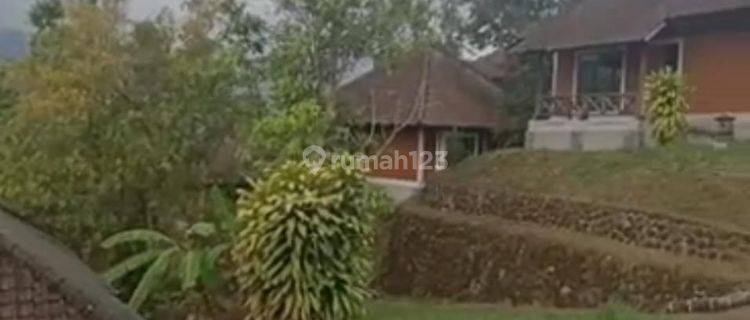 Hot List Di Jual Tanah Bonus Bangunan Ex Hotel View Danau Buyan, Gunung Hutan Lokasi Pancasari Sukasada Buleleng 1