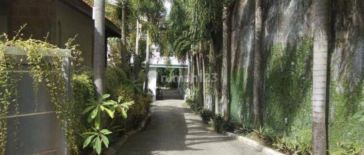 Hot List in its Class Hotels for Sale in West Denpasar, Bali 1