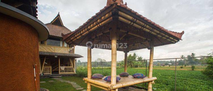 Hot List Termurah Di Kelasnya Di Jual Villa View Sawah Lokasi Abiansemal Badung 1