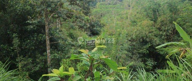 Hot List Di Jual Tanah View Sawah Lokasi Madangan Petak Gianyar 1