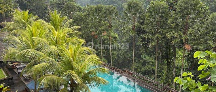 TOP URGENT DI JUAL HOTEL LOKASI UBUD GIANYAR
 1