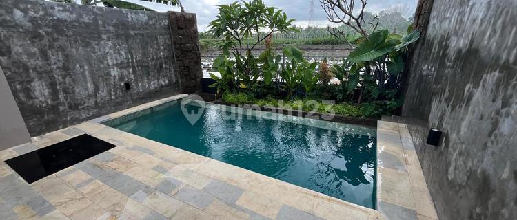 Certainly Closing For Sale Villa Rice Field View Location Sakah Blahbatuh Gianyar Close to Ubud 1