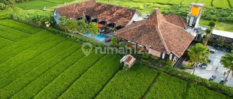 Deal for Sale Guesthouse Location Abasan Tibubeneng North Kuta Badung Bali 1