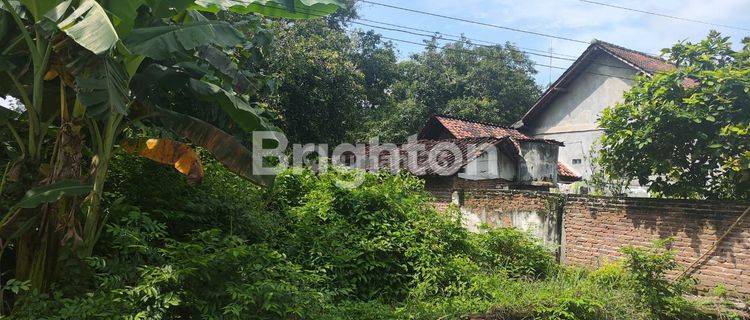 TANAH PINGGIR JALAN RAYA MAOSPATI MAGETAN 1
