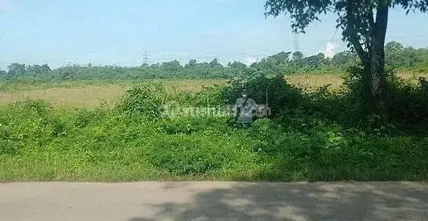 Tanah Pinggir Jalan Raya Di Kawasan Perkantoran Pemda Tigaraksa 1