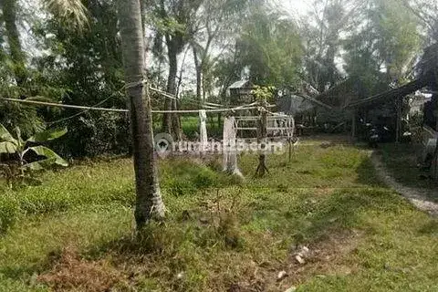 Tanah Padat Di Balaraja Tangerang Dekat Puskesmas Suka Mulya 1