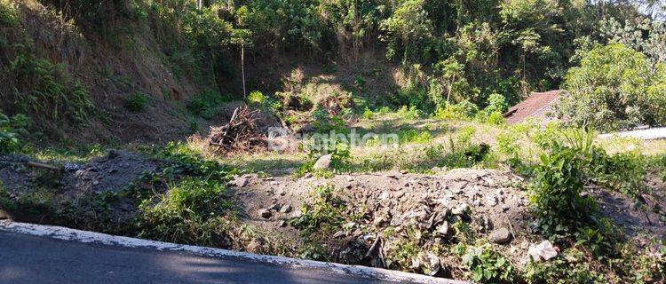 lahan datar di area tinggi bagus untuk villa ataupun perumahan 1 menit ke denpasar 1