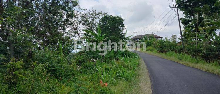 LAND IN WANAGIRI 46 ARE WITH VIEW OF GREEN CLIFFS AND ALES MOUNTAINS 1