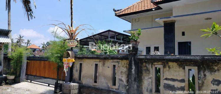 Rumah minimalis 2 ate halaman luas view hijau dengan sungai kecil 1