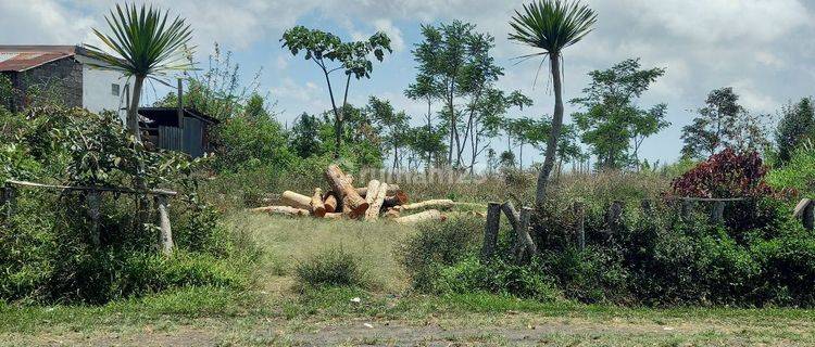 Tanah Di Jalan Utama Wanagiri Bedugul, Meghadap Danau Buyan & Wanagiri Hidden Bali Hill 1