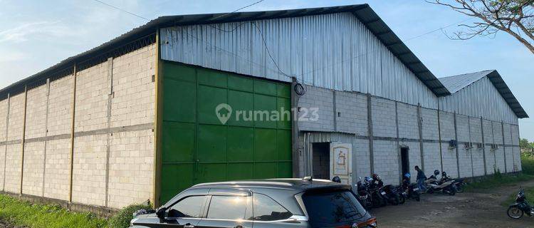 Disewakan Gudang Di Kudus Jawa Tengah 1