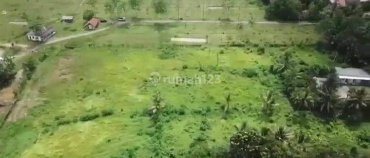 DIJUAL CEPAT
Kavling di Jl Raya Sampay, Banten
(6km dari Tol Rangkas) 1