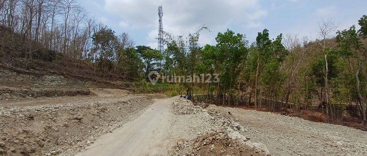 Tanah Dijual Jogja Murah Dekat Pasar Pleret, SHM Pekarangan 1