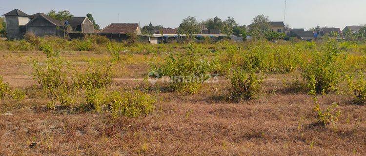 Di Jual Tanah Jogja Bagian Gito Gati SHM Pekarangan 1