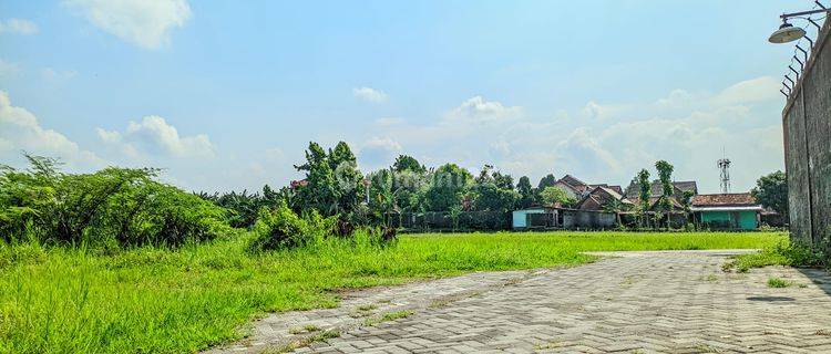 Tanah Jogja SHM Pekarangan di Caturtunggal, Cocok Hunian 1