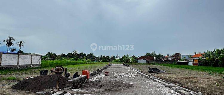 Tanah Dengan View Sawah Di Gianyar Dekat Sanur 1