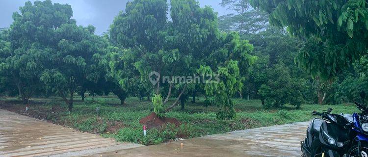 Tanah Kavling Murah Shm Cariu Bogor Timur View Gunung Citylight 1