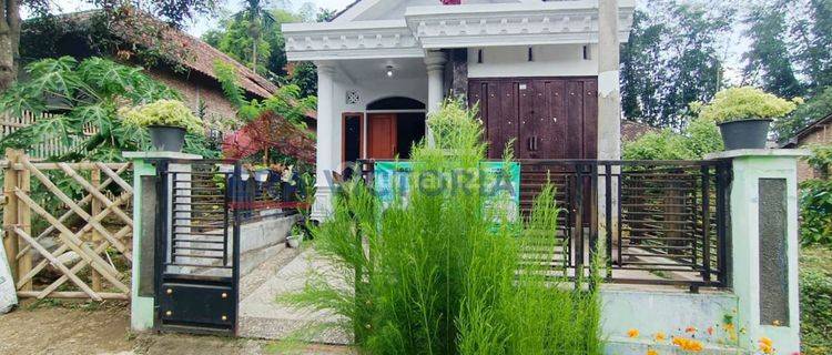 Dijual Rumah 1 Lantai Dalam Kondisi Bagus Dan Terawat, Terletak di Daerah Tumpang Dan Memiliki Akses Cepat Ke Arah Pakis. Sangat Cocok Untuk Home Stay 1