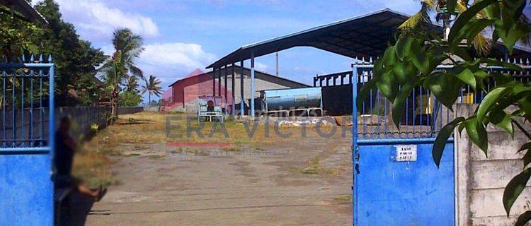 Gudang lahan luas di kawasan pelabuhan di Pengambengan, Bali - Cocok untuk gudang penyimpanan maupun pabrik di kawasan Bali 1