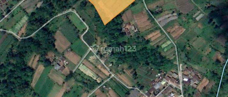 Cheap Plantation Land In Baturiti Tabanan Bali 1