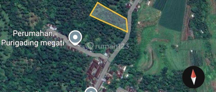 Tanah utk Villa 3 menit ke Raya DPS Gilimanuk di Tabanan Bali  1