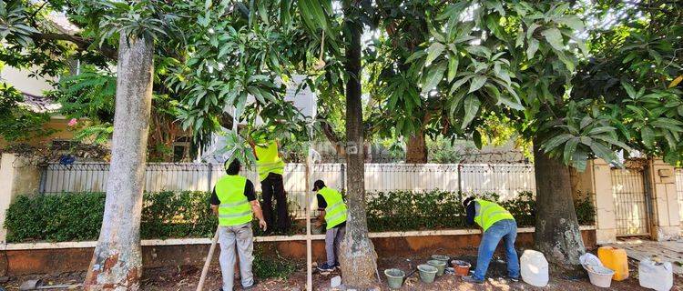 Tanah Residensial Murah Bgt di Taman Villa Meruya,taman Flamboyan 1