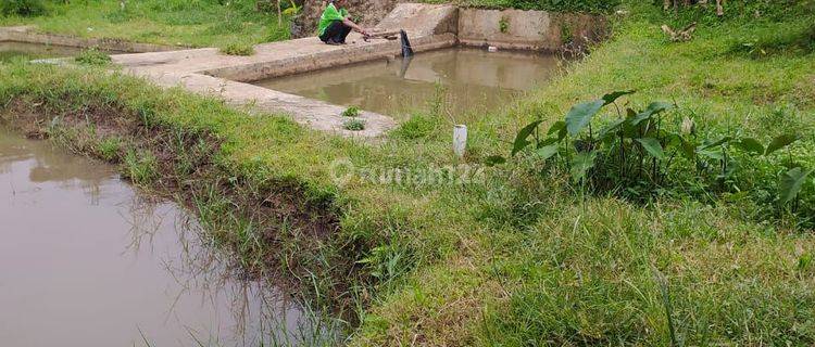 Murah dan langka Tanah di Cijambe 1