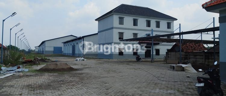 Disewakan Gudang Baru Gress Di Jetis Mojokerto 1