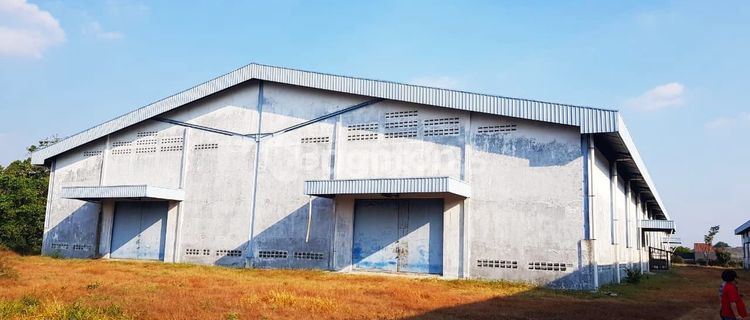 Disewakan Gudang Tegal 1