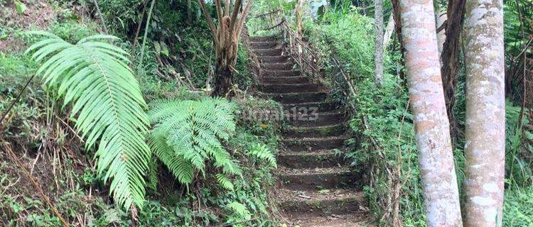 Di Jual Tanag Di Bali Investasi Untuk Vila 1