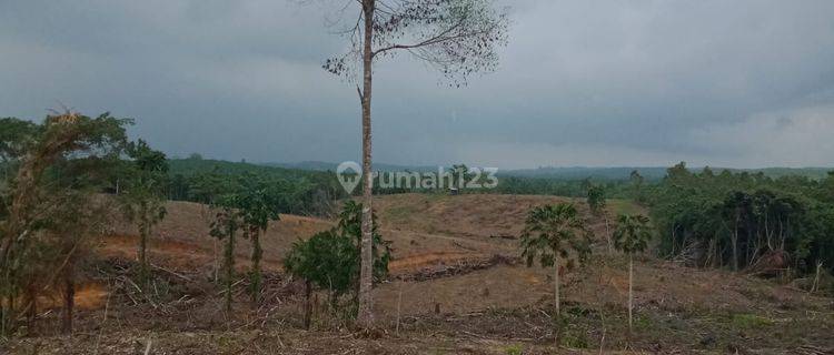 Dijual Tanah Kavling Di Girimukti Penajam Dekat Ikn 1