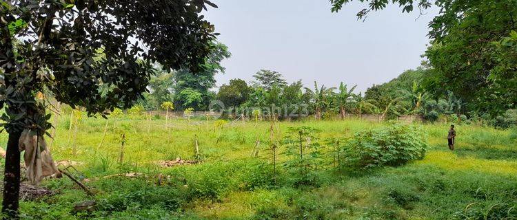 Tanah kebun sudah rata, dekat kawasan BRIN muncul serpong, cocok sekali untuk investasi 1
