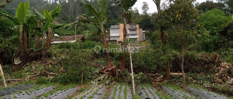 Tanah Kavling Luas 60m2 SHM di Lembang Bandung 1