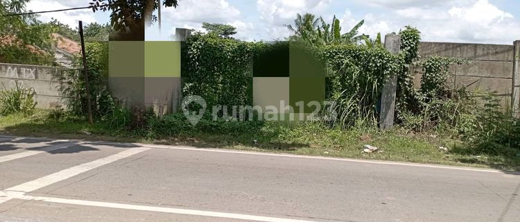 Disewakan Tanah Pinggir Jalan Raya Lokasi Strategis Tangerang 1