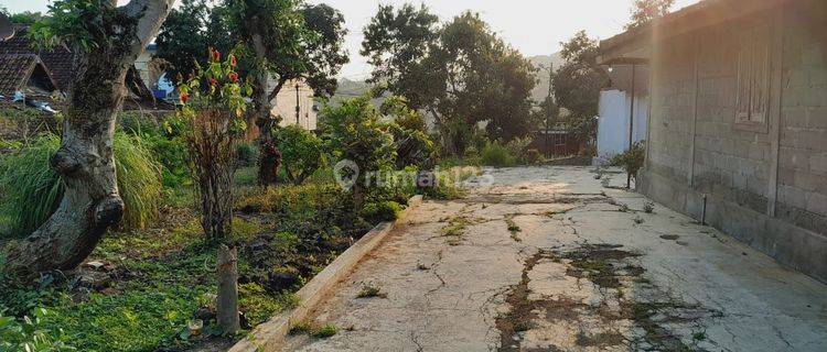 Dijual tanah subur Bisa Ditanami Semua hasil  bumi, gajk jauh dari jalan Raya Di pagerwojo Tulungagung Jawa Timur 1