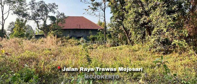 Tanah Siap Bangun Di Jalan Raya Trawas Mojosari Mojokerto Dn1404  1