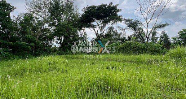 Tanah Murah Lokasi Di Jedong, Wagir Kabupaten Malang Dn1557  1