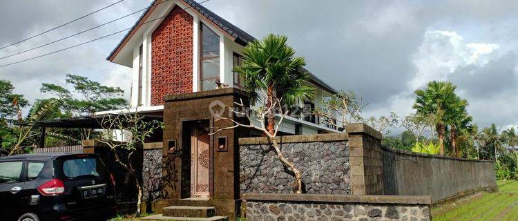 Hot List Di Jual Villa Lokasi Pejeng Ubud Gianyar  1