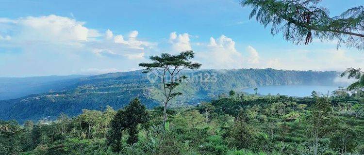 Hot List of Land for Sale with Sea Forest View Munduk Bedugul Buleleng Location  1