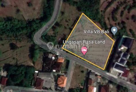 Hot List of Roadside Land for Sale in Ungasan, South Kuta, Badung 1