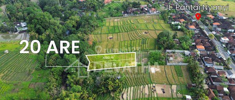 Hot List Termurah Di Kelasnya Di Jual Tanah View Sawah Lokasi Nyanyi Beraban Kediri Tabanan 1