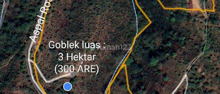 Hot List of Land for Sale in Gesing Buleleng Location 1